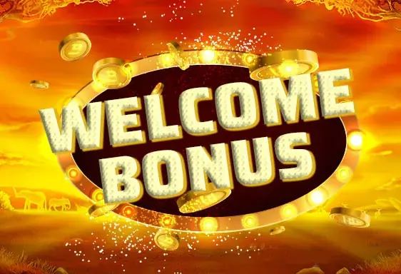 Welcome bonus Iwild casino